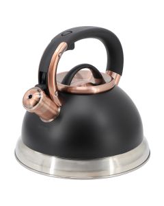 Mr. Coffee Flintshire 2.2 Quart Stainless Steel Whistling Tea Kettle in Black